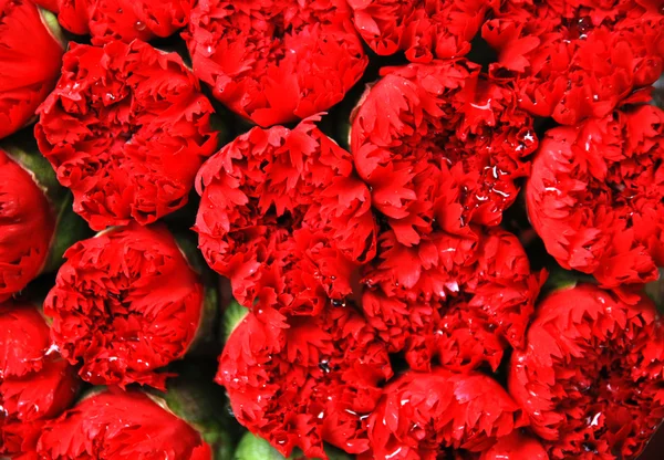 Beautiful bouquet of bright flowers — Stock Photo, Image