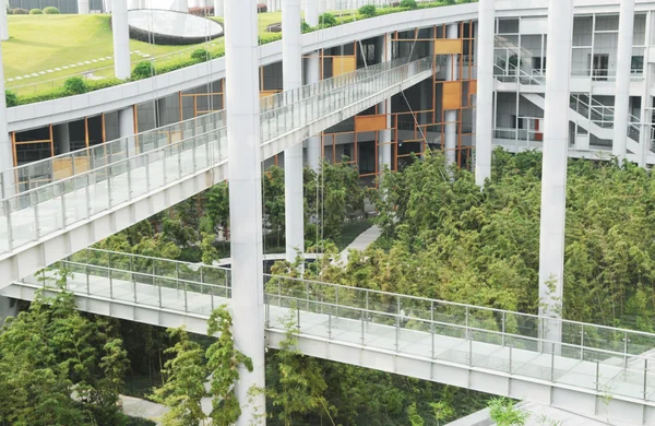 El moderno edificio con pasillo interior y jardín de bambú . — Foto de Stock