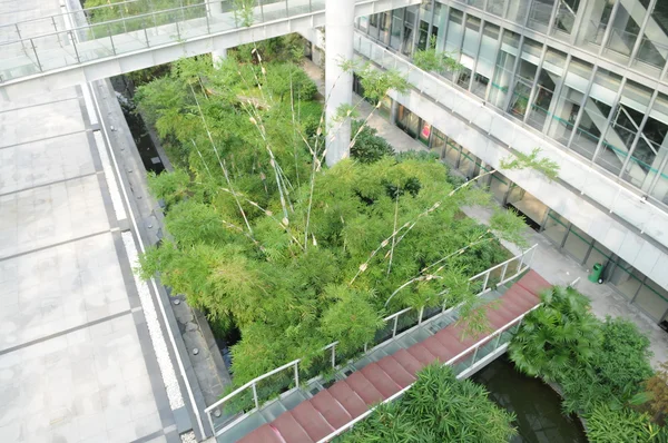 O edifício moderno com corredor interior e jardim de bambu . Fotos De Bancos De Imagens