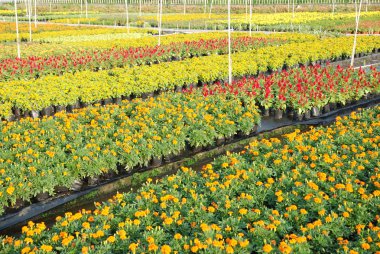 Çiçek Bahçesi kreş