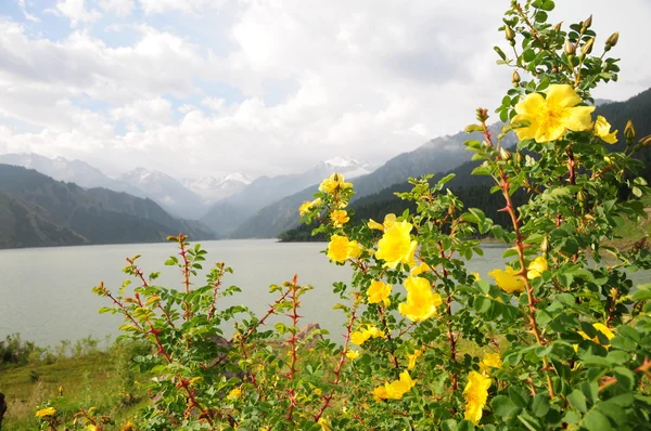 Озеро на горе Богда — стоковое фото