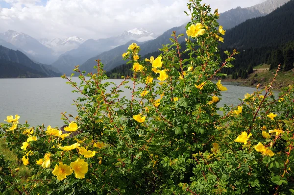 El lago en el Monte Bogda — Foto de Stock