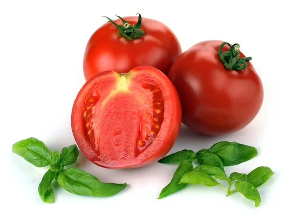 Leaves of basil and tomatoes — Stock Photo, Image