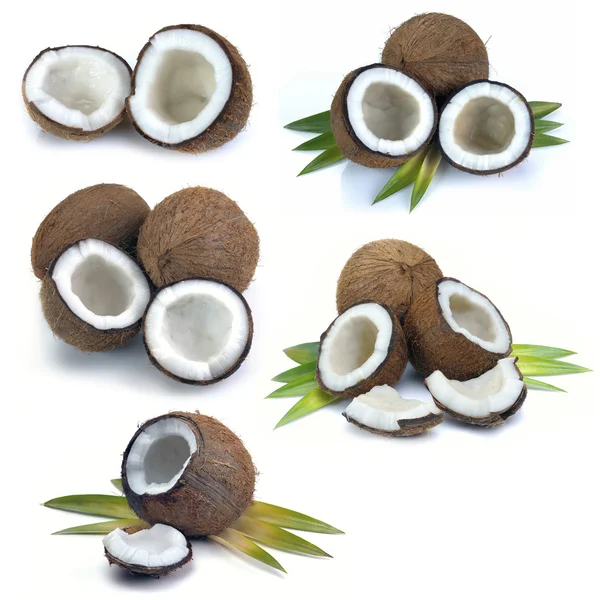 Set cocco con foglie — Foto Stock