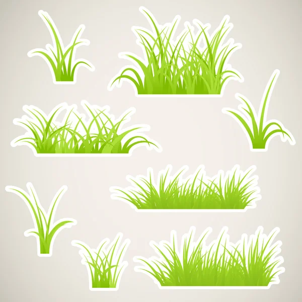 Paper grass — Stock Vector