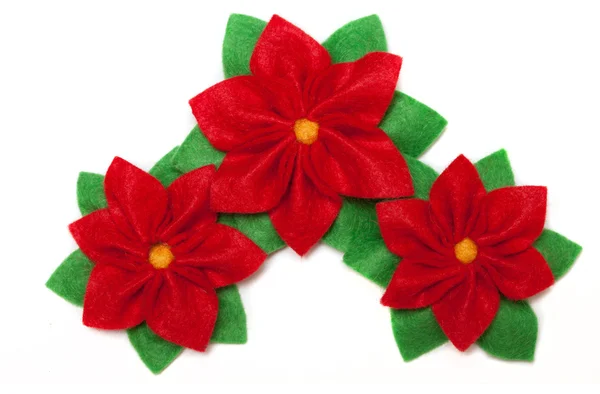 Poinsettia — Stock Photo, Image