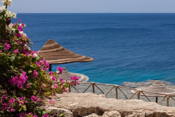 Sea, bougainvillea and beach umbrella — Stock Photo, Image