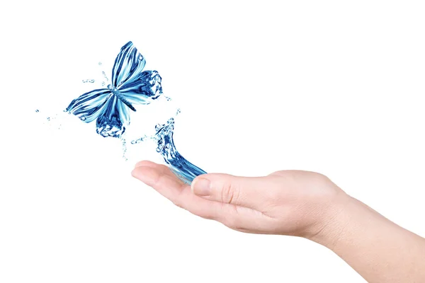 Вода и бабочка — стоковое фото