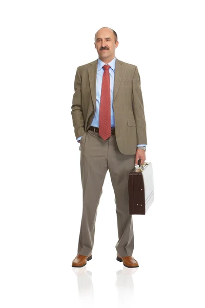 Businessman with a briefcase — Stock Photo, Image