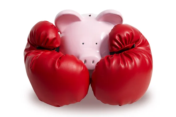 豚とボクシング グローブ — ストック写真