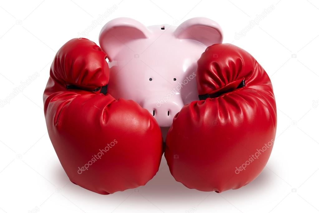Pig and boxing-glove