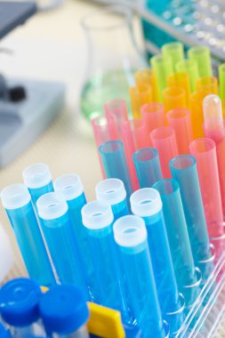 Araştırma Araçları