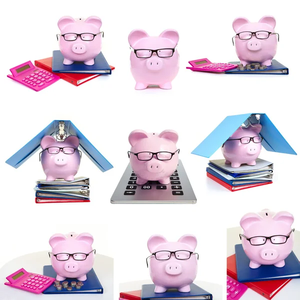 Pink pig and and and business — Stock Photo, Image