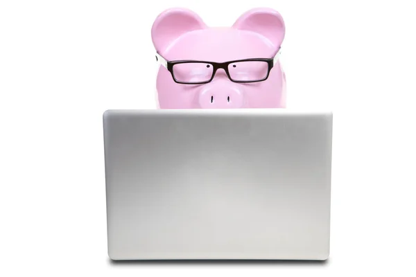 The pink pig and notebook computer — Stock Photo, Image