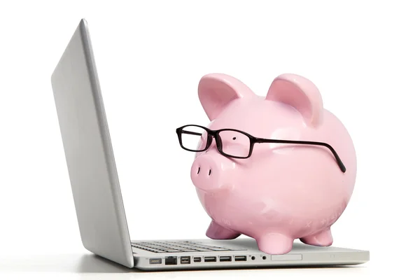 El cerdo rosa y la computadora portátil — Foto de Stock