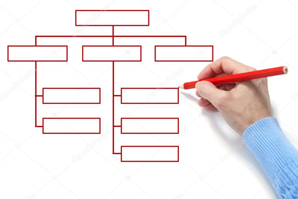 Organization chart