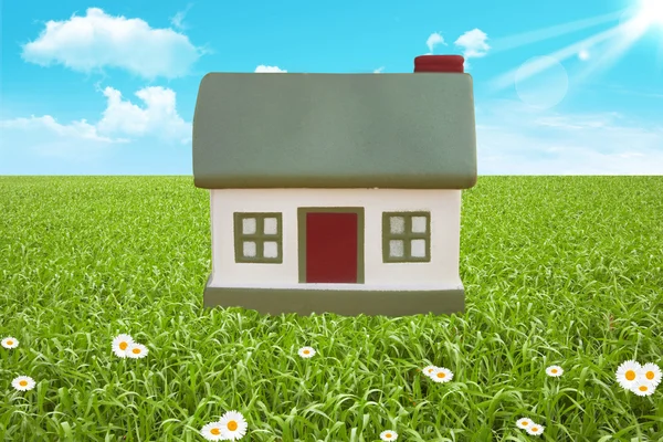 Green field and cottage — Stock Photo, Image