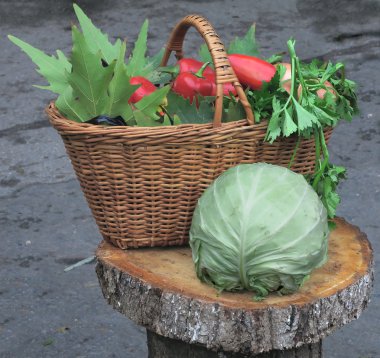 Sepette taze organik sebzeler