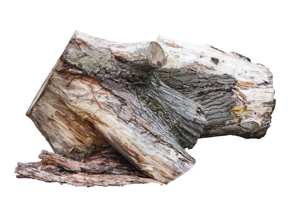 Old wooden stump log isolated over white — Stock Photo, Image