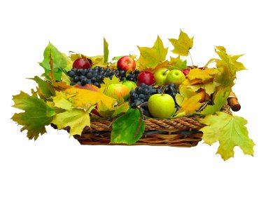 taze meyve ve yaprakları üzerinde beyaz izole sepeti