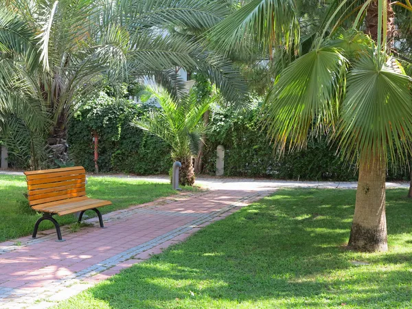 Parque verde tropical com palmeiras e banco — Fotografia de Stock