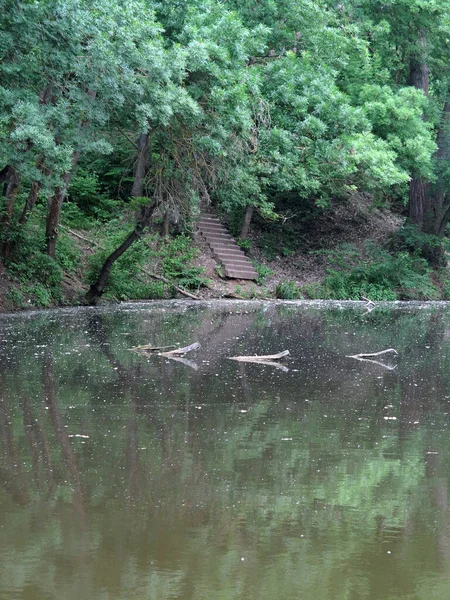 Gammal Trappa Går Ner Genom Grön Skog Till Övergiven Sjö — Stockfoto