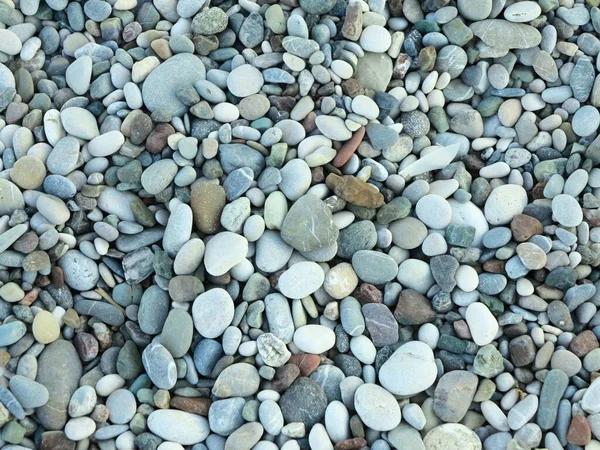 Zee Kleurrijke Grijze Kleine Stenen Kiezelsteentjes Een Strand Backgroun — Stockfoto