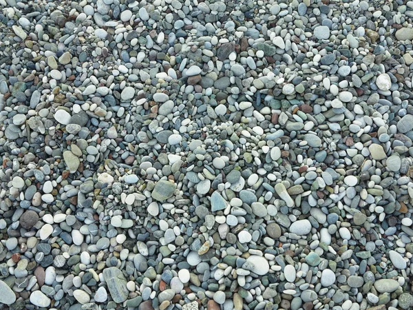 Zee Kleurrijke Grijze Kleine Stenen Kiezelsteentjes Een Strand Backgroun — Stockfoto
