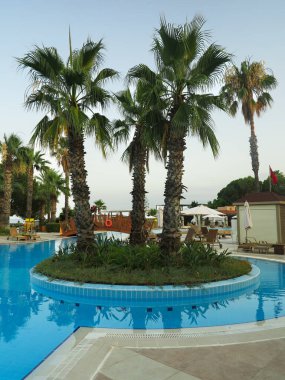 Tropikal bir otelde lüks mavi yüzme havuzu