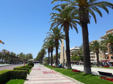 Salou, Spain - 04.07.2022: Palm tree alley along the sea in one of the most beautiful tourist cities