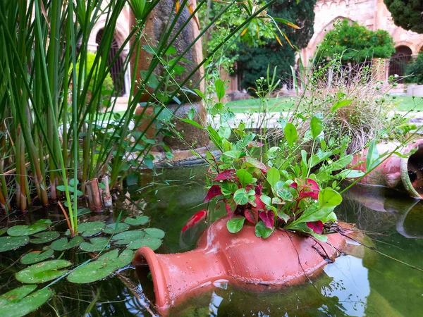 Small garden pond with red fish and clay jug, many decorative evergreen plants