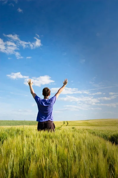 Man on field. — Stock Photo, Image