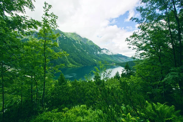 Lago Las Montañas Fantasía Colorido Paisaje Natural — Foto de Stock