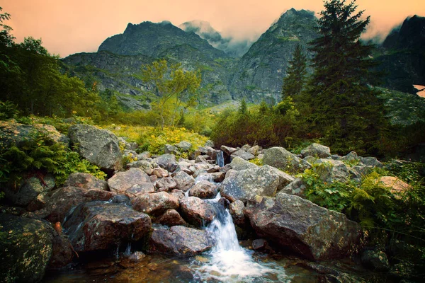 Rivière Dans Paysage Montagnes Brumeuses Nature Montagne Photo De Stock