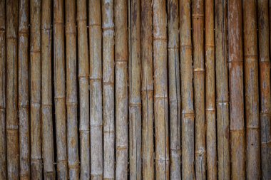 Bambu duvar dokusu