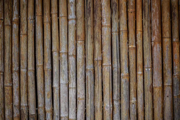 Beschaffenheit der Bambuswand — Stockfoto