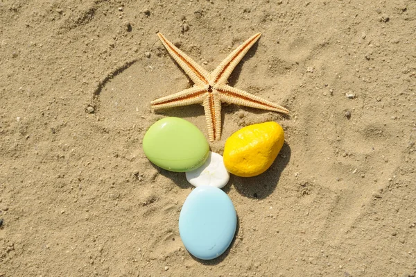 Hvězdice s barevnými oblázky na písku — Stock fotografie