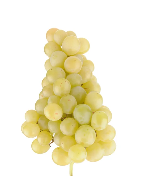 Tak van groene druiven geïsoleerd op wit — Stockfoto