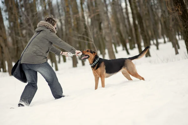 Girl playing with dog on the snow — Stock Photo, Image