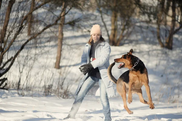 Girl playing with dog on the snow — Stock Photo, Image