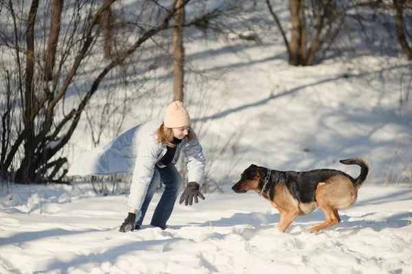 Девушка играет с собакой на снегу — стоковое фото