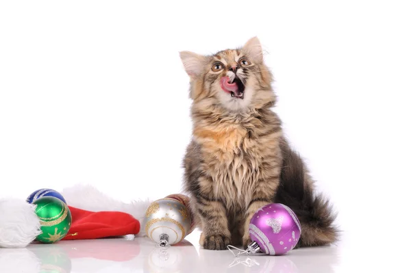 Funny cat with New Year's toys isolated on white — Stock Photo, Image