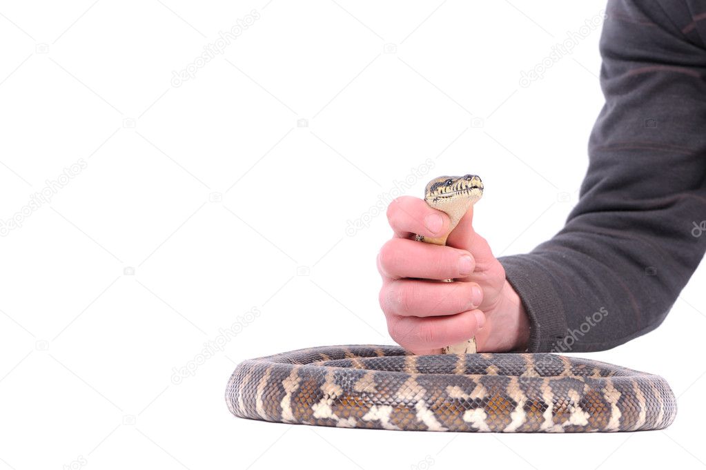 Man holding snake in the hand