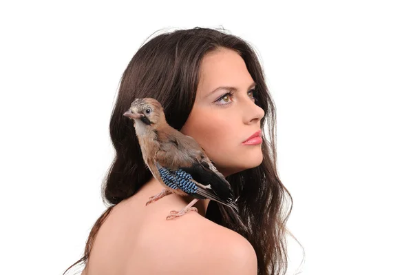 Portrét krásné dívky s ptákem na ruce — Stock fotografie