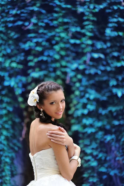 Ritratto di sposa attraente — Foto Stock