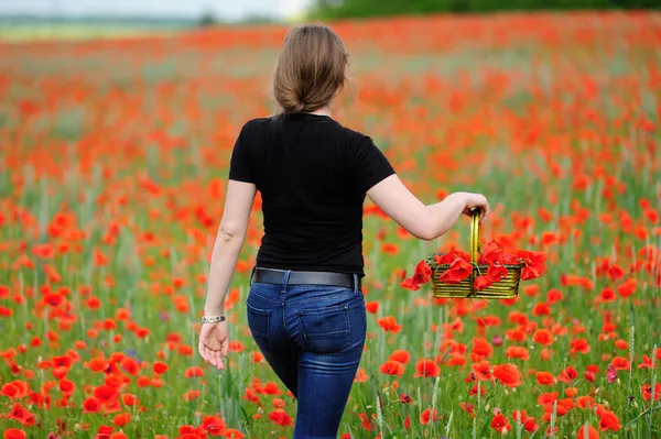 Girl with basket on poppy field — Stock Photo, Image