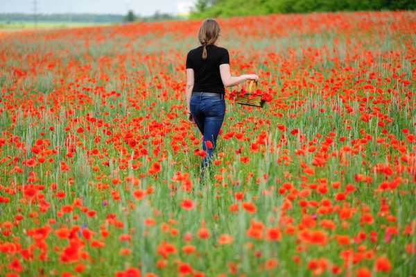 Ragazza con cesto su campo di papavero — Foto Stock