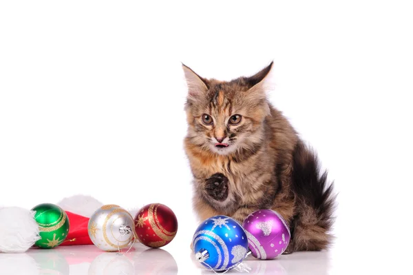 Gato divertido con juguetes de Navidad aislado en blanco —  Fotos de Stock