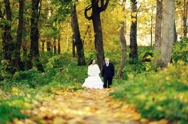 Gelin ve damat ormanın yürüyüş