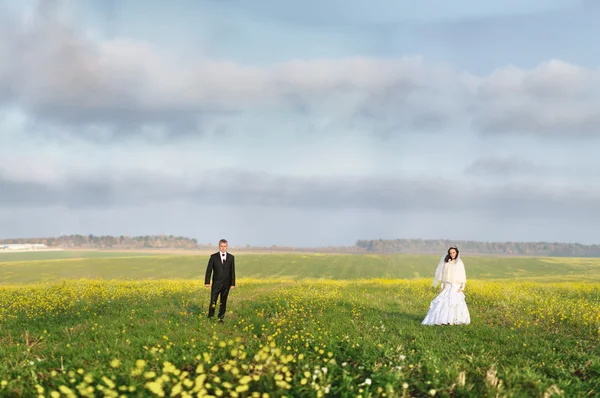 Bride and groom on the field — Stock Photo, Image